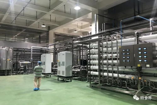 廣東實現保健食品生產企業體系檢查全覆蓋，數據處理服務助力精準監管